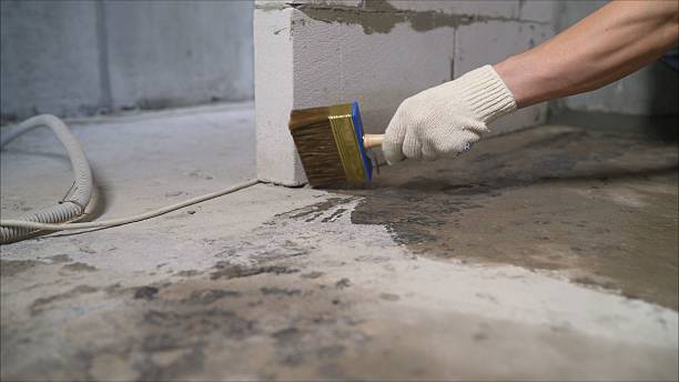 24/7 Emergency Waterproofing experts in Hampton, IL